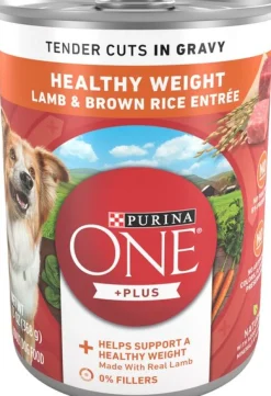 Purina One + Plus Tender Cuts in Gravy Lamb and Brown Rice Canned Dog Food - 13 Oz - Case of 12