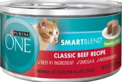 Purina ONE Grain Free Premium Pate Beef Canned Cat Food