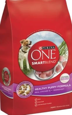Purina ONE Healthy Puppy Chicken Recipe Dry Dog Food