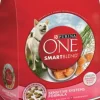 Purina ONE +Plus Skin & Coat Formula Dry Dog Food