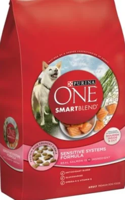 Purina ONE +Plus Skin & Coat Formula Dry Dog Food
