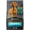 Purina Pro Plan Chicken and Rice Formula Large-Breed Puppy Dry Dog Food - 47 Lbs