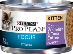 Purina Pro Plan Focus Kitten Ocean Whitefish and Tuna Entree Flaked Canned Cat Food