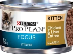 Purina Pro Plan Focus Kitten Classic Chicken and Liver Entree Canned Cat Food
