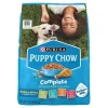 Purina Puppy Chow Complete High-Protein Chicken and Rice Puppy Dry Dog Food - 15 Lbs