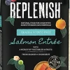 Replenish Grain-Free with Active 8 Dry Dog Food - Salmon - 6 Oz - 20 Pack