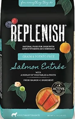 Replenish Grain-Free with Active 8 Dry Dog Food - Salmon - 6 Oz - 20 Pack