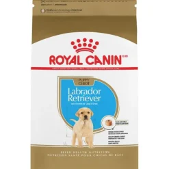 Royal Canin Breed Health Nutrition Labrador Retriever Puppy Dry Dog Food