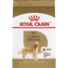 Royal Canin Breed Health Nutrition Golden Retriever Adult Dry Dog Food