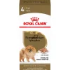 Royal Canin Breed Health Nutrition Pomeranian Adult Loaf in Sauce Canned Dog Food