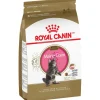 Royal Canin Feline Breed Nutrition Maine Coon Kitten Dry Cat Food