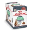 Royal Canin Feline Care Nutrition Digest Sensitive Chunks in Gravy Wet Cat Food Pouch - 3 Oz - Case of 12