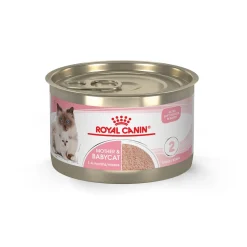 Royal Canin Feline Health Nutrition Mother and Kitten Mousse in Sauce Formula Canned Cat Food - 5.1 Oz - Case of 24