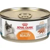 Royal Canin Feline Health Nutrition Intense Beauty Loaf in Sauce Canned Cat Food