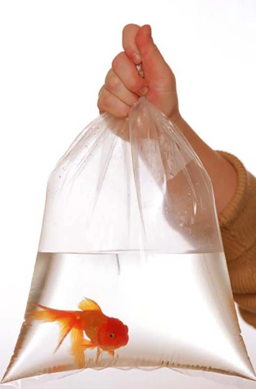 Rutan Poly Industries Fish Bags Clear - 2 mm, 9 in X 15 in - 1000 Bag