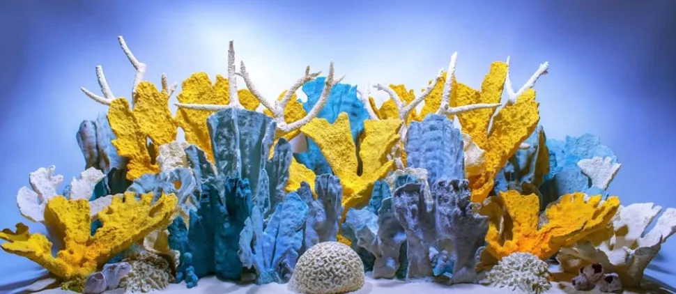 Seaview Double Sided Background Coral Bliss & Luscia Reef - 24 in X 50 ft