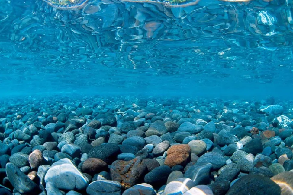 Seaview Double Sided Background River Rock & Sea of Green - 12 in X 50 ft