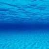 Seaview Double Sided Background Seascape & Natural Mystic - 24 in X 50 ft