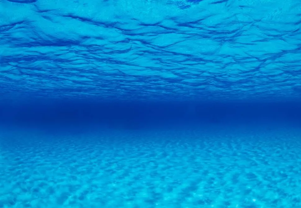 Seaview Double Sided Background Seascape & Natural Mystic - 24 in X 50 ft