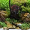 Seaview Double Sided Background Aqua Garden & Bright Stone - 12 in X 50 ft