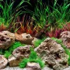 Seaview Double Sided Background Aquawild & Slateways - 24 in X 50 ft