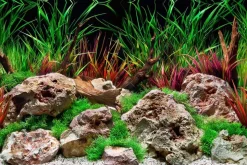 Seaview Double Sided Background Aquawild & Slateways - 24 in X 50 ft