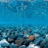 Seaview Double Sided Background River Rock & Sea of Green - 24 in X 50 ft