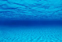 Seaview Double Sided Background Seascape & Natural Mystic - 18 in X 50 ft