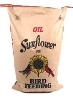 Shafer Generic Black Oil Sunflower Seed Sunflower Oil Wild Bird Food - 25 Lbs