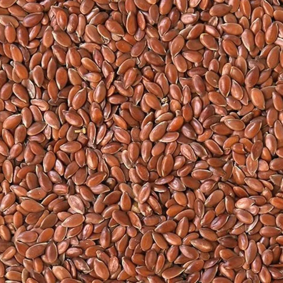 Shafer Generic Flax Seed Wild Bird Food - 50 Lbs