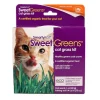 SmartyKat Sweet Greens Cat Grass Kit - 1 Oz