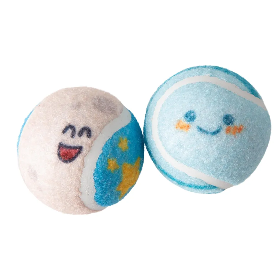 Snugarooz Comet me Bro Tennis Balls Squeak and Fetch Dog Toys - 2 Pack