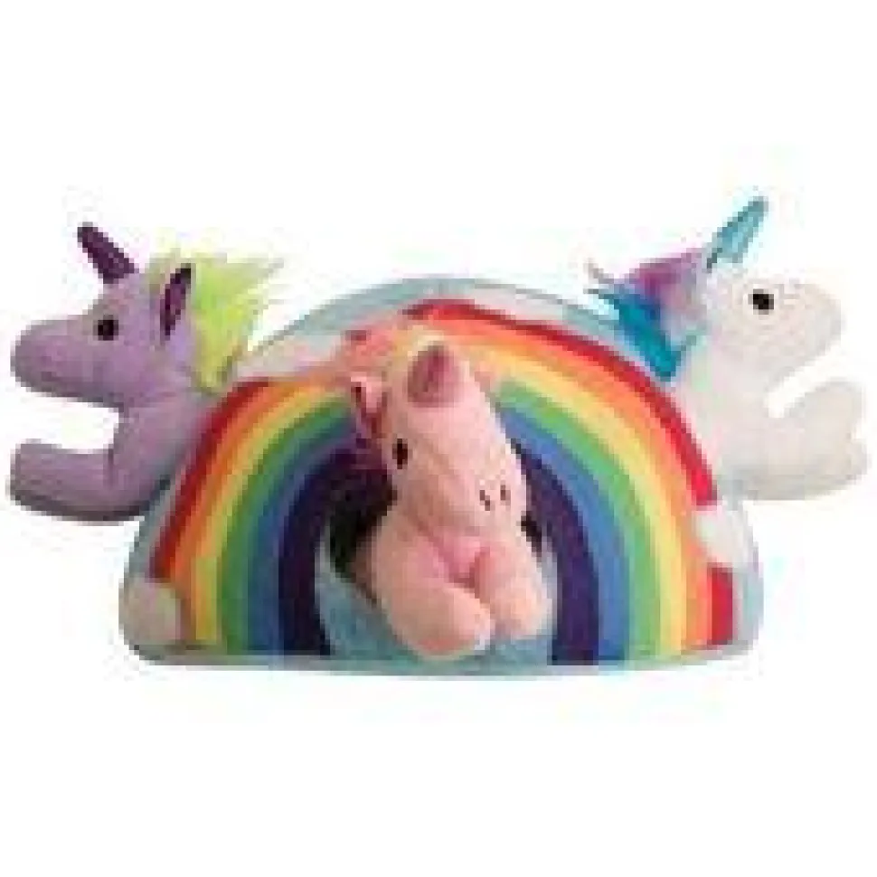Snugarooz Hide and Seek Rainbow Shaped 4-in-1 Interactive Crinkle and Plush Dog Toy