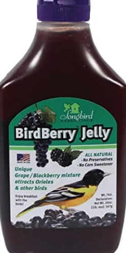 Songbird Essentials Birdberry Jelly Wild Bird Food - Grape/Blackberr - 20 Oz