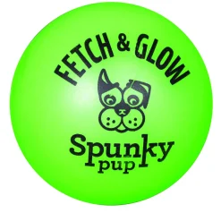 Spunky Pup Fetch and Glow Stick Durable Fetch and Float Dog Toy