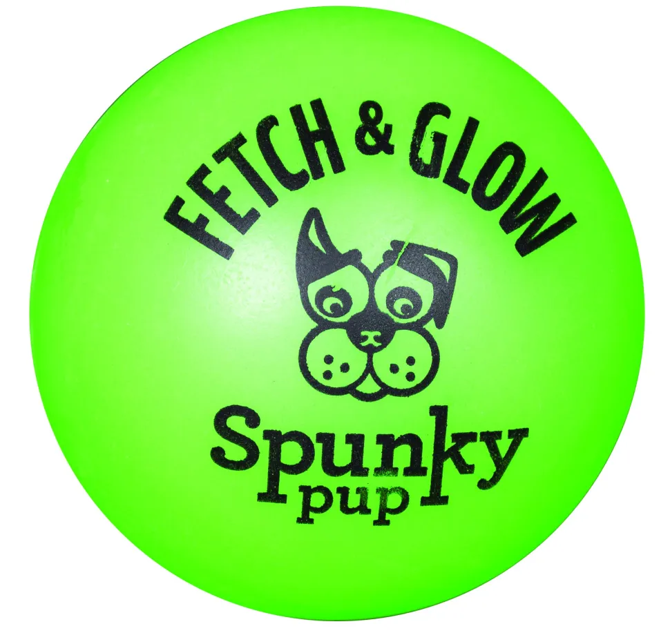 Spunky Pup Fetch and Glow-in-the-Dark Ball Float and Fetch Dog Toy - Large