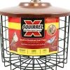 Squirrel-X Squirrel Proof Suet Feeder Suet and Seed Cake Wild Bird Feeder - Brown - Dbl