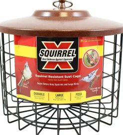 Squirrel-X Squirrel Proof Suet Feeder Suet and Seed Cake Wild Bird Feeder - Brown - Dbl