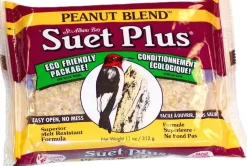Suet Cakes Plus Peanut Blend Suet Cakes Wild Bird Food - Peanut - 11 Oz