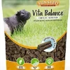 Sunseed Vita Balance Adult Guinea Pig Food - 4 lb - Pack of 6