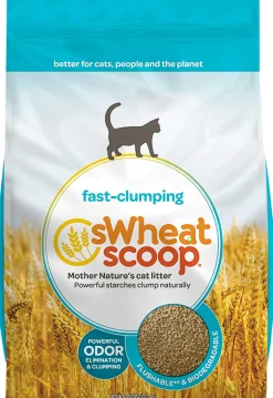 Swheat Scoop Fast Clumping Wheat Regular Cat Litter - 36 lb Bag