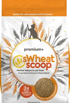 Swheat Scoop Premium + Wheat Cat Litter - 36 lb Bag