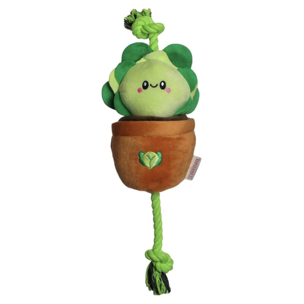Territory Lettuce Treat-and-Tug Interactive Rope and Plush Dog Toy - 15 Inches