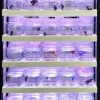 Tetra Betta Center Fixture - 30 Cup