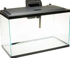 Tetra Complete Deluxe LED Aquarium Kit Aquatics Starter Kits - 10 Gal - 20 X 10 X 12