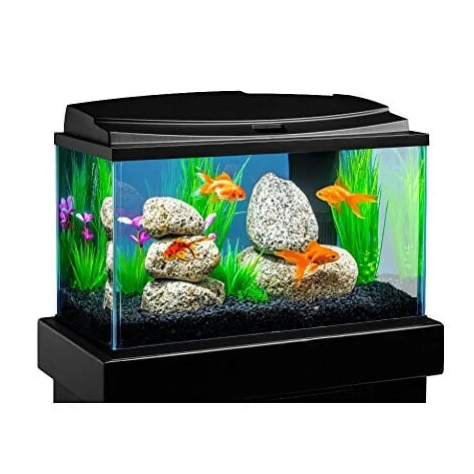 Tetra Goldfish LED Aquarium Kit Aquatics Starter Kits - 10 Gal - 20 X 10 X 12