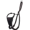 The Company of Animals Halti No Pull Dog Harness - Small
