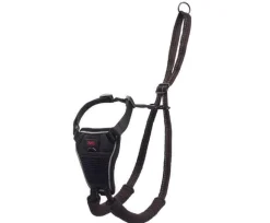 The Company of Animals Halti No Pull Dog Harness - Small
