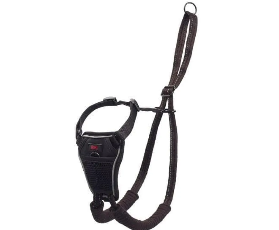 The Company of Animals Halti No Pull Dog Harness - Large