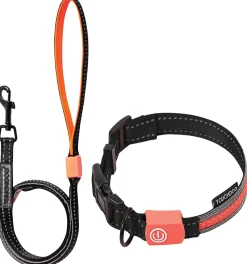 Touchdog ®'Lumiglow' 2-in-1 USB Charging LED Lighting Water-Resistant Dog Leash and Collar